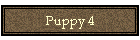Puppy 4